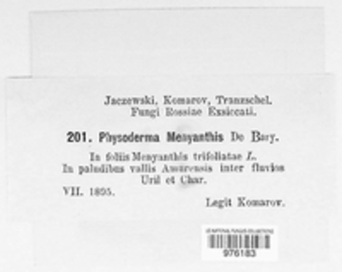 Cladochytrium image